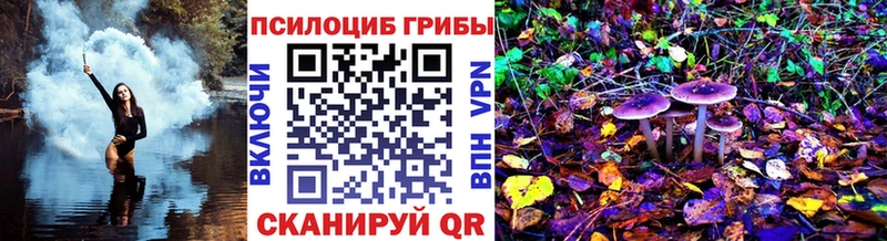 KRAKEN как войти  цены   Крым  Галлюциногенные грибы Psilocybe 